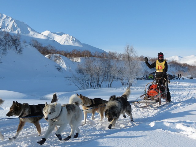 Achat immobilier à la montagne, quelle station choisir ?