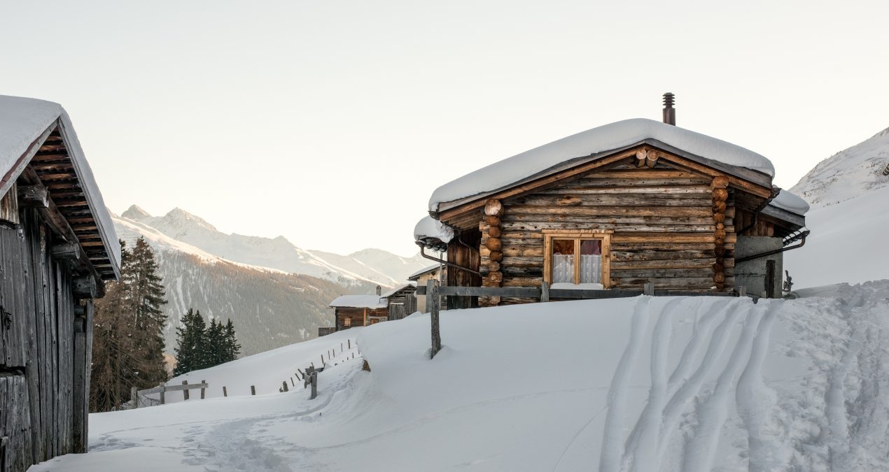 Comment bien entretenir sa maison en bois toute l’année ?