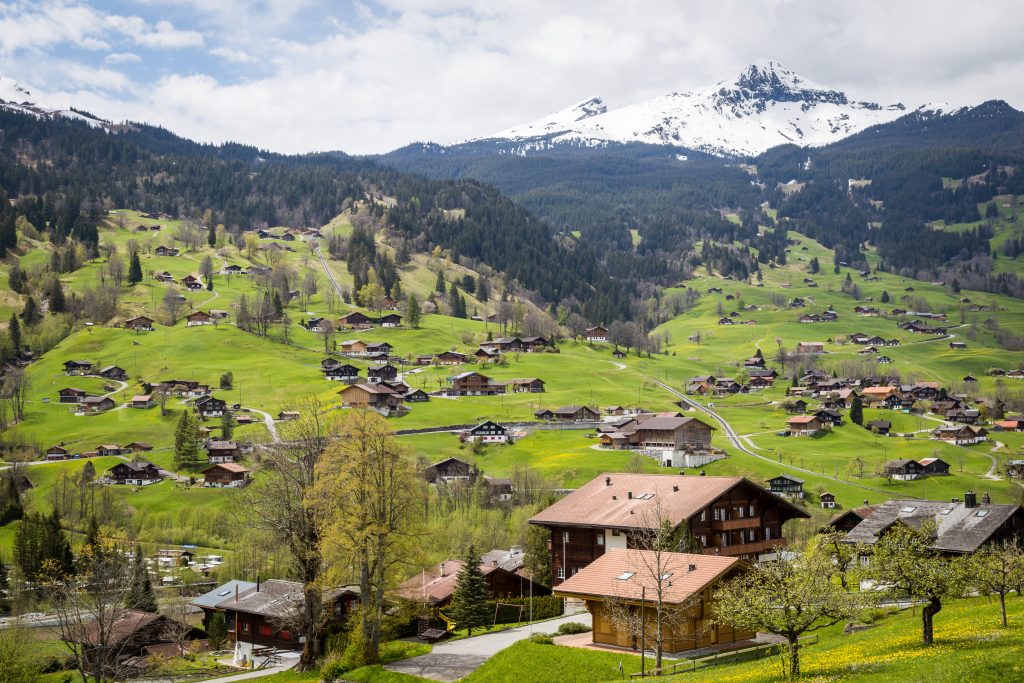 Paysage de montagne au printemps